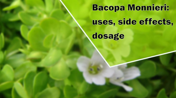 Bacopa Monnieri: uses, side effects, dosage