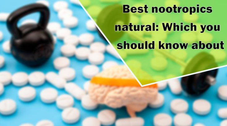 Best nootropics natural: Which you should know about
